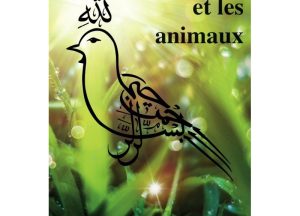 Une miniature de blog